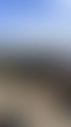 Segunda Ruta Oficial MT Lander’s 2026: Desafío OFF ROAD rumbo a Tepoztlán