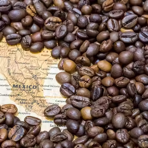 Ruta del café en Veracruz: una travesía biker entre aroma y paisajes