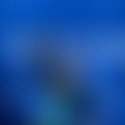 CFMOTO Aspar Team brilla en Brasil: doblete en Moto2 y victoria en Moto3