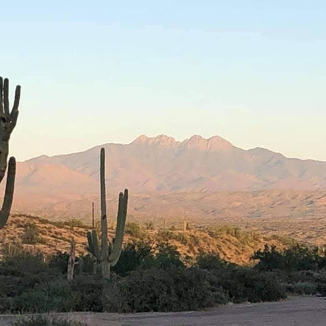 2019 Javelina Jundred Race Report
