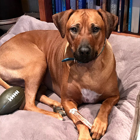 Rest is an Accomplishment