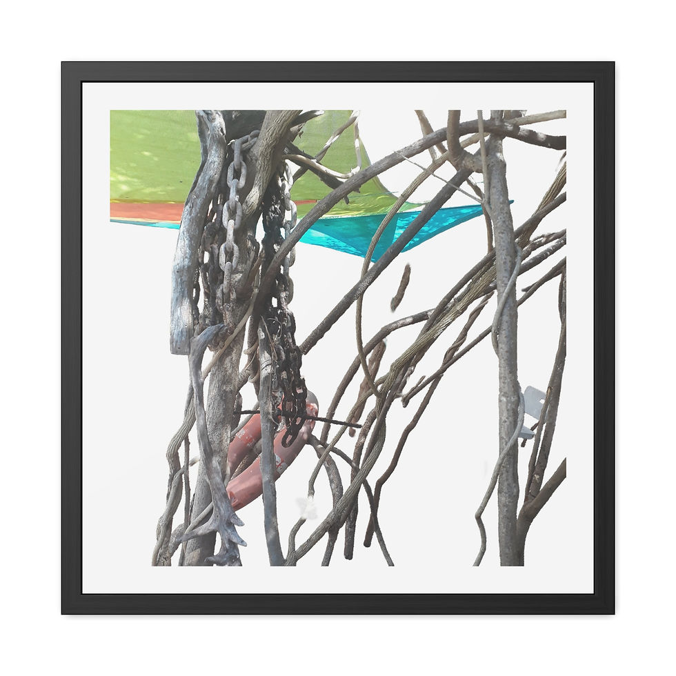 Driftwood Art White: Framed Posters - Natural Beauty and Texture Wall Art Decor
