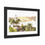 Thumbnail: Bertancuria, Fuerteventura, Canary Islands: Scenic Framed Poster Art 