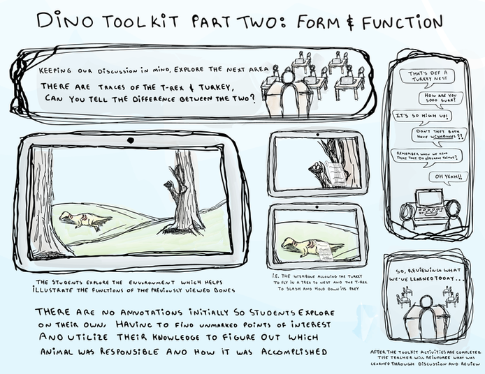 Activity 2 - Form and Function