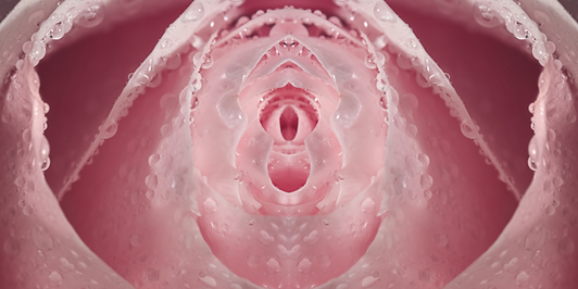 Jnissi Banner (8).png