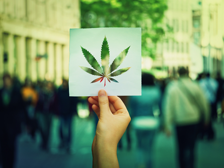 When Was Cannabis Legalized In Canada?