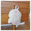 Miniature : Petit Sac à dos écru, personnalisé