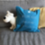 housse de coussin personnalisé