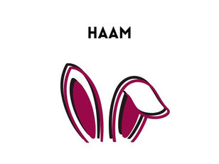 HAAM