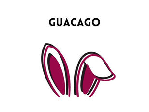 Guacago - Boynton Beach