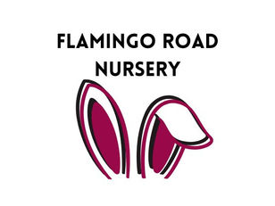 Flamingo Road Nursery