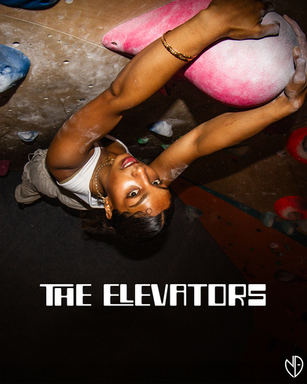 The Elevators