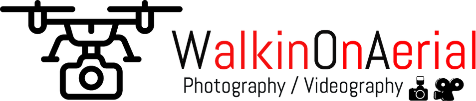 Walkin On Aerial's business log