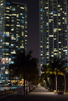 Miami skyline