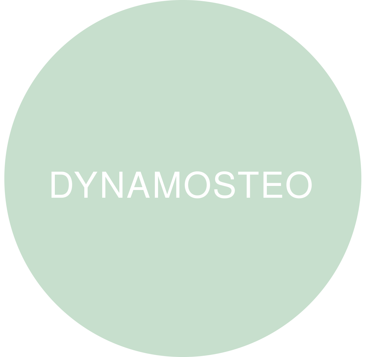 dynamo_ok.gif