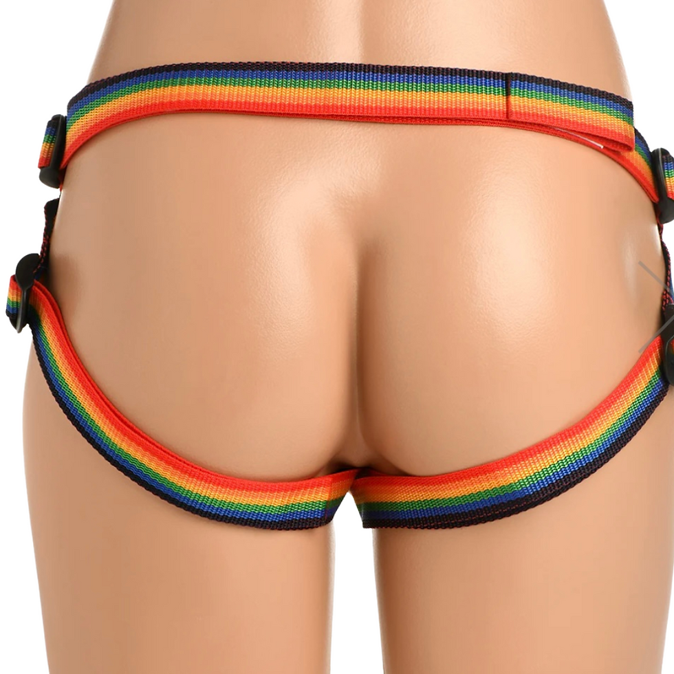 Thumbnail: Ride the Rainbow Universal Rainbow Strap-On Harness