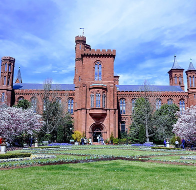 20190327_134639-EFFECTS.jpg