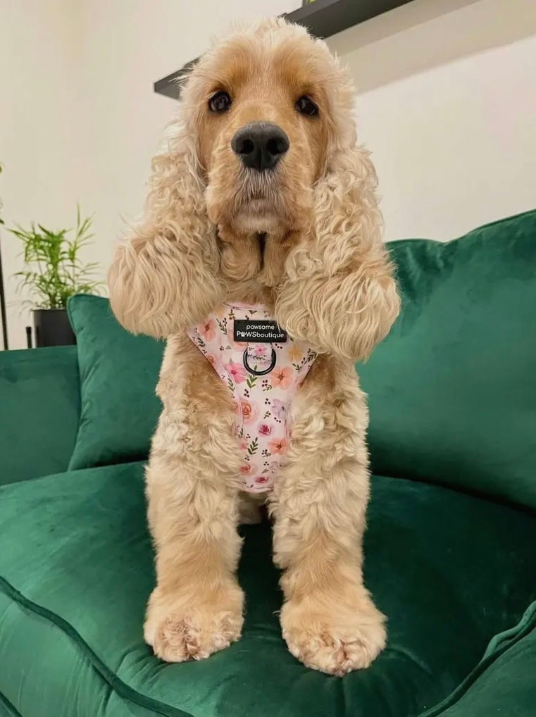 Miniatyrbilde: Betsy´s Bouquet