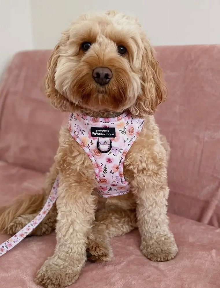 Miniatyrbilde: Betsy´s Bouquet