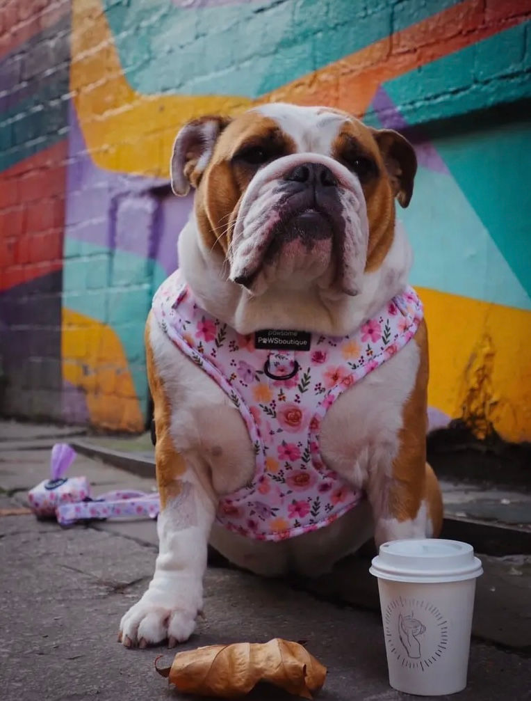 Miniatyrbilde: Betsy´s Bouquet