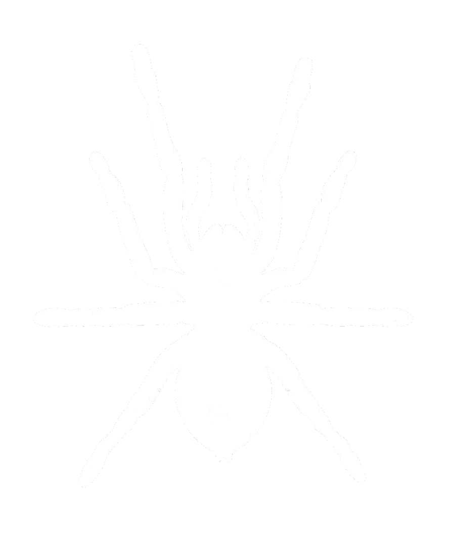 Tarantula