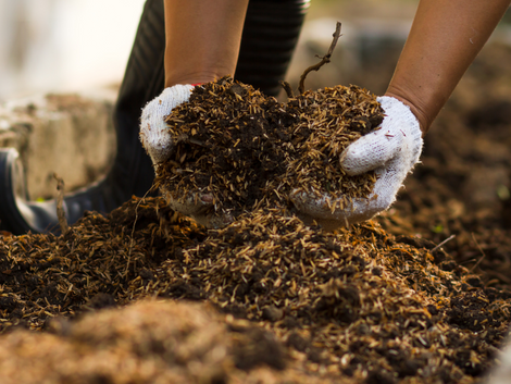 White gloved hands digging in compost pile