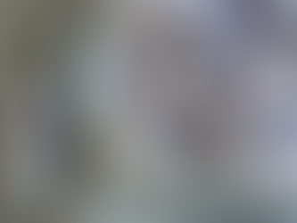 Meringue Cookies: Quick and Easy