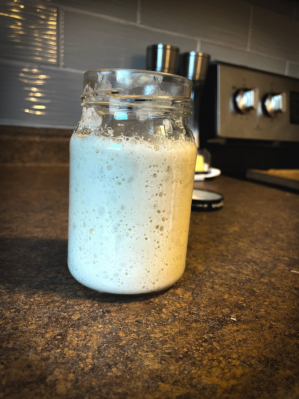 Sourdough Starter
