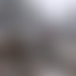 When Ice Meets Trees