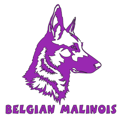 Thumbnail: BELGIAN MALINOIS
