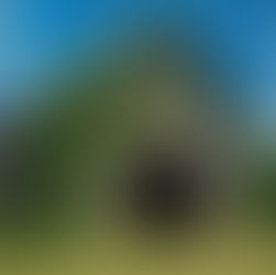 KUDZU IN NORTH CAROLINA