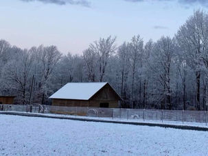 THE REAL LIFE OF A GOAT FARMER