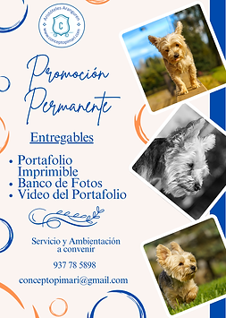 Promoción - Portafolio para Mascotas.png