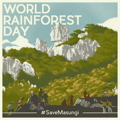 World Rainforest Day 2022