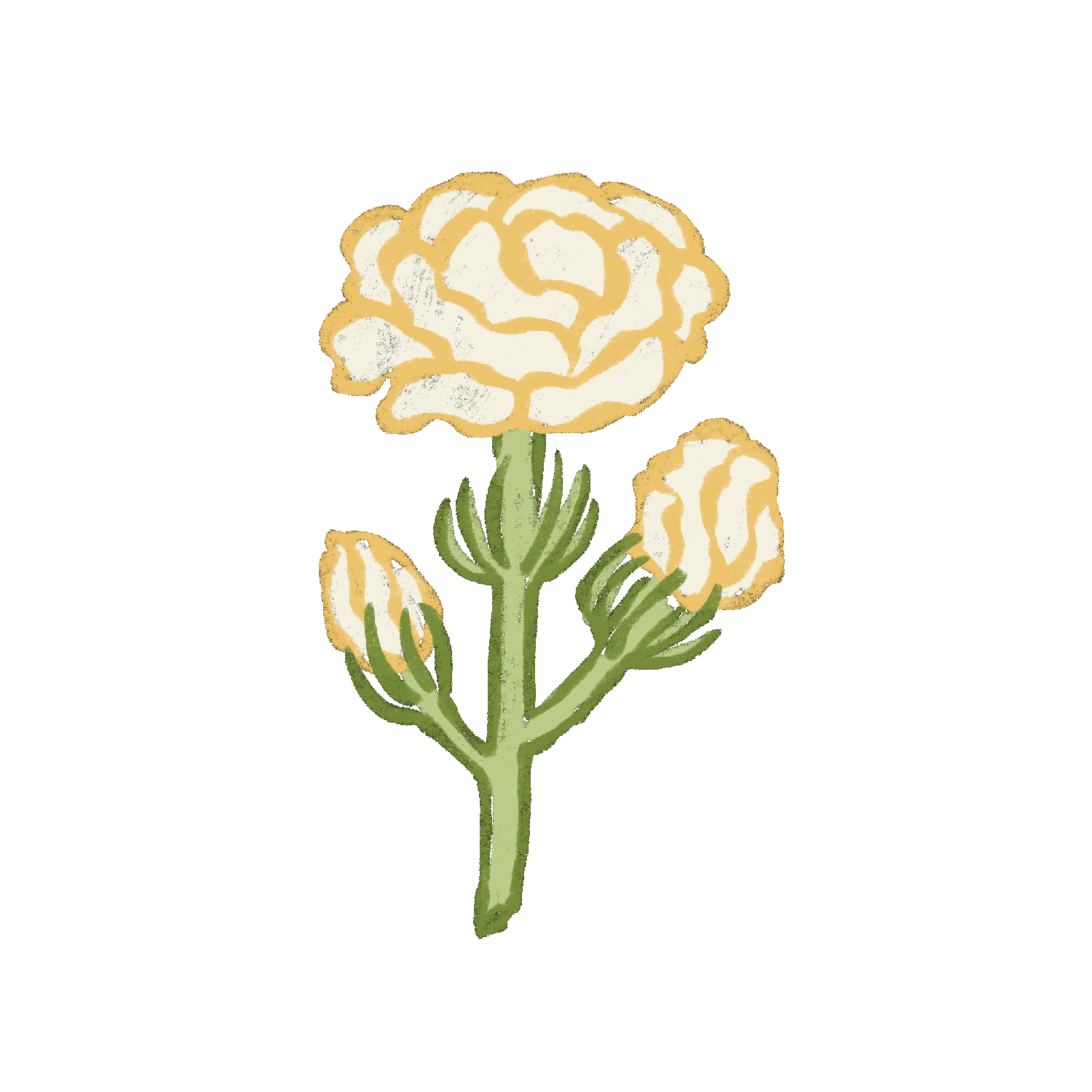 LOGO_animated.gif