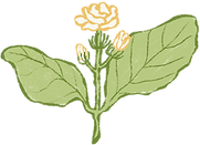 logo_full_full_elem.png