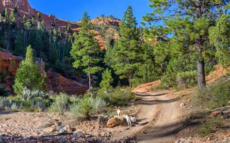 Casto Canyon Trail