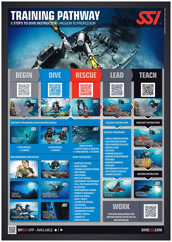 SSI_Pathway_Poster_2025_EN_Scuba-1_page-0001 (1).jpg