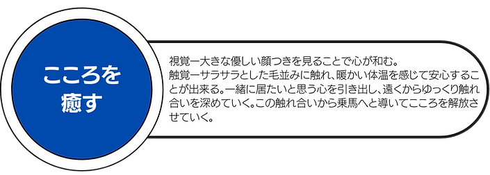 福祉乗馬