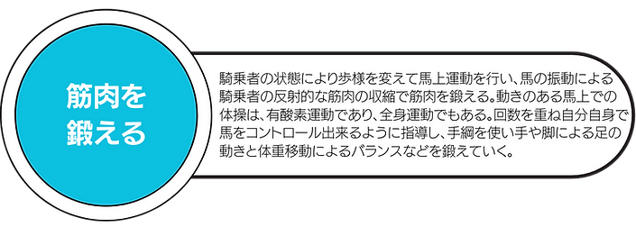 福祉乗馬