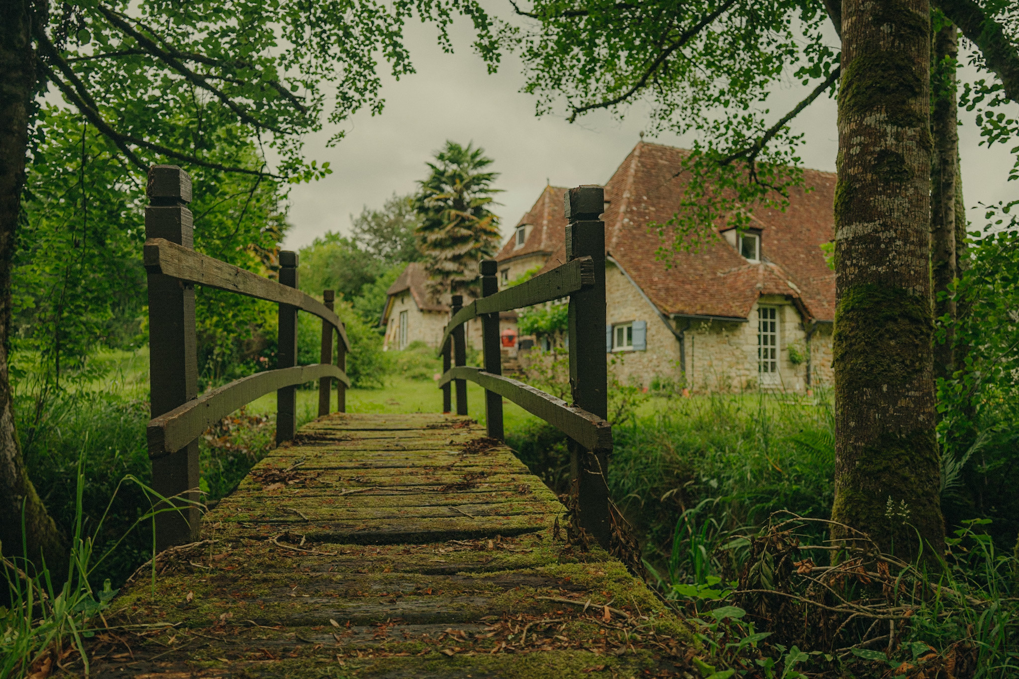 Maison Le Grand Saule photo 1