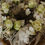 Miniaturbild: BLOSSOM BASKET