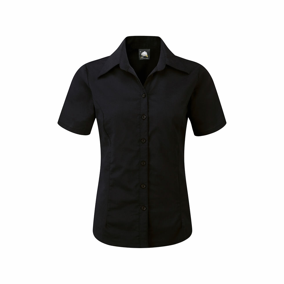 Thumbnail: Classic Ladies Oxford Blouse