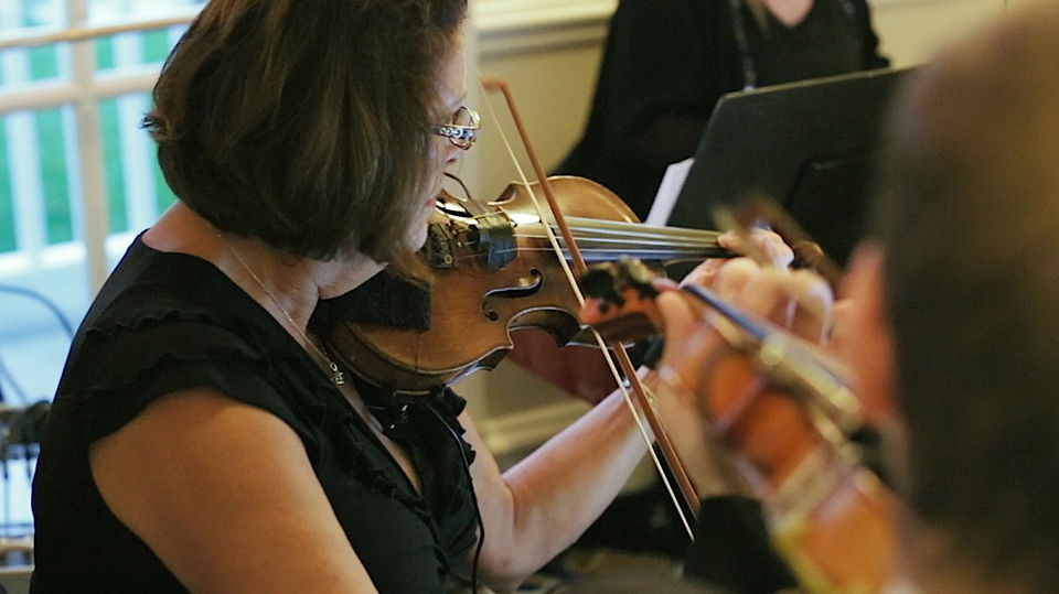 musician playing the violin