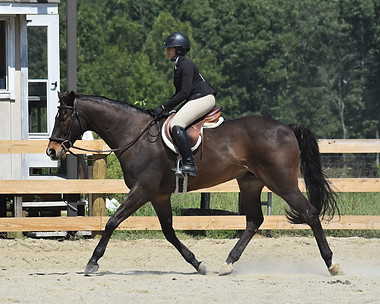 09 Ad Eq Flat RE.JPG