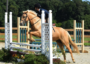 06 Pony Eq RE.jpg