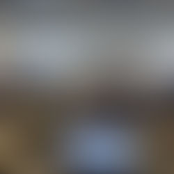 ECFD Founder Dr. Cleamon Moorer Presents at University of Michigan Ross School of Business