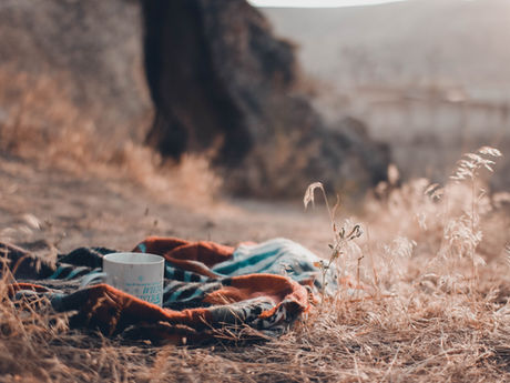 My Perfect Picnic Spot