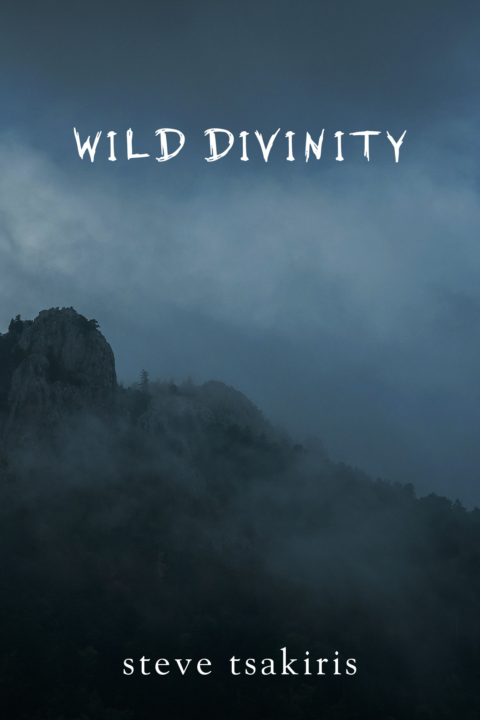 Wild Divinity