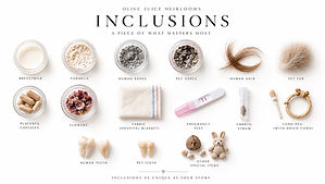 Inclusions FAQ Image.jpeg